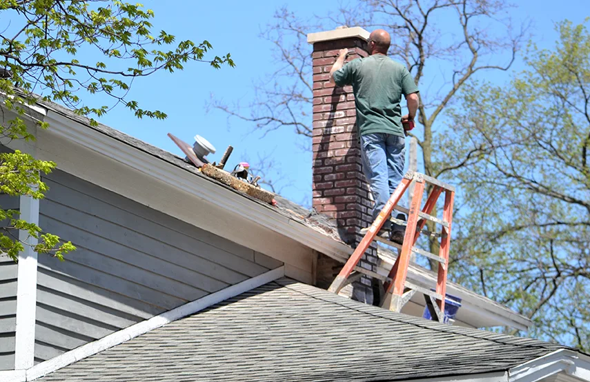 Chimney & Fireplace Inspections Services in Cottage Grove, MN